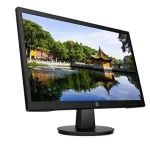 HP P204v 19.5-inch TFT Monitor