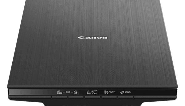 Madiera FRT 800x460 172035641283322